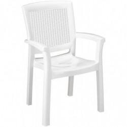 Fauteuils Maxi en Rotin...